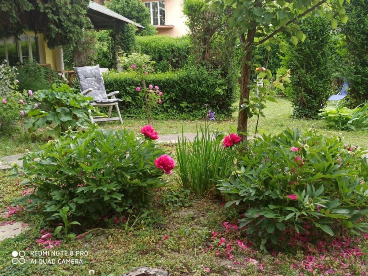Апартаменты Cocic Garden Осиек Экстерьер фото