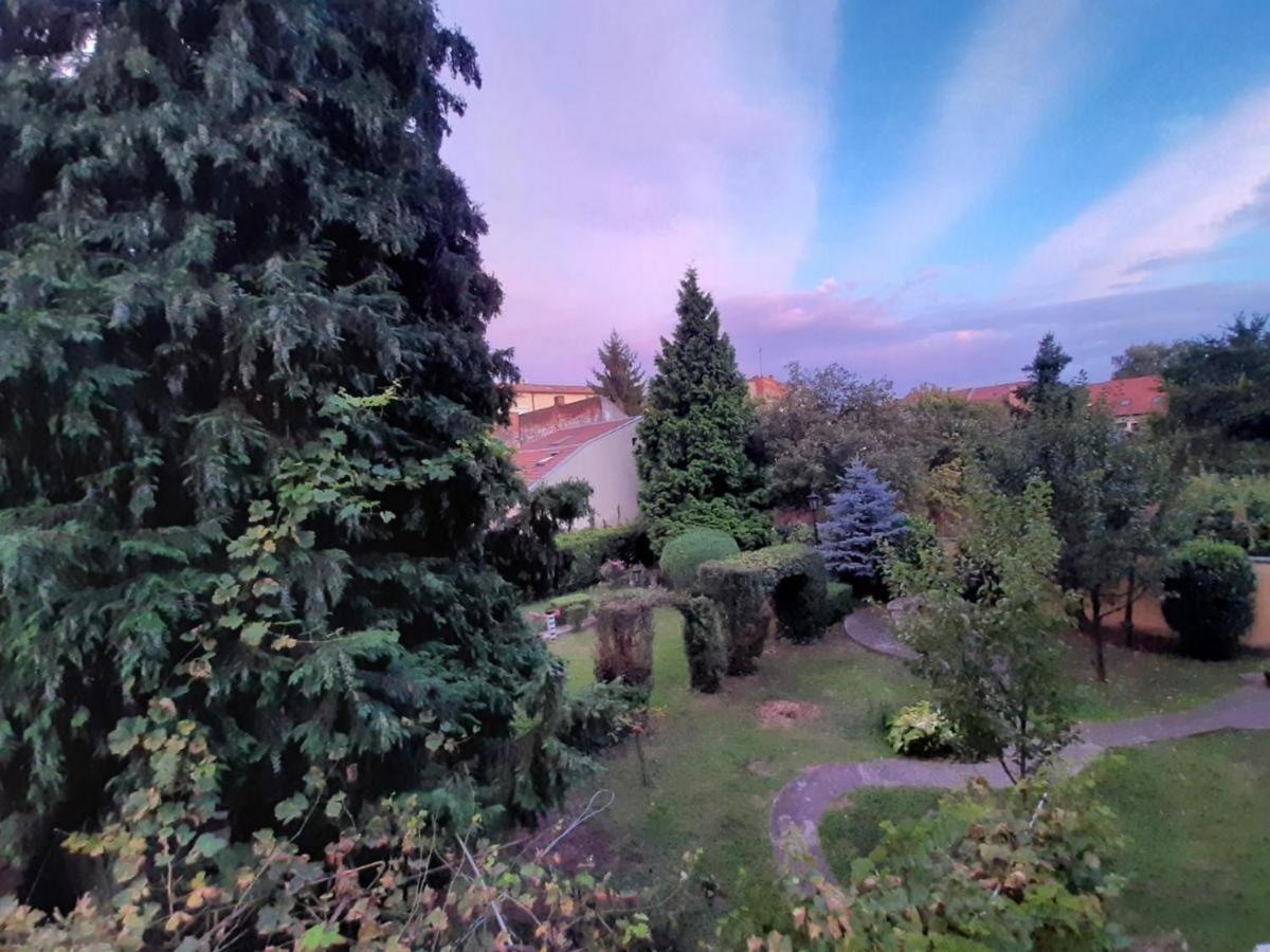 Апартаменты Cocic Garden Осиек Экстерьер фото